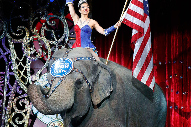 © APA/AP/Bill Sikes Performance der Ringling Bros.