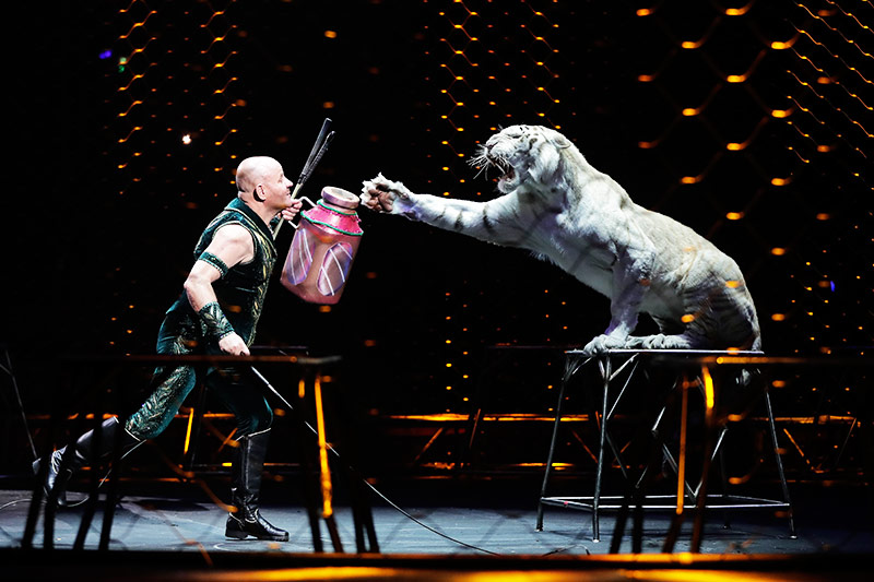 © APA/AP/Julie Jacobson Performance der Ringling Bros.