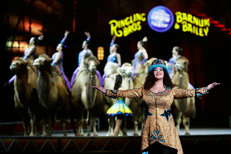 © APA/AP/Chris O'Meara Performance der Ringling Bros.