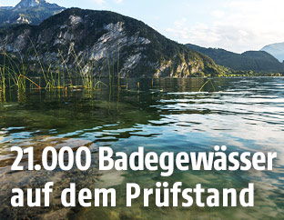 Badesee