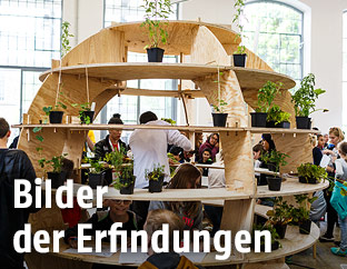 Der "Growroom", ein drei Meter hoher Gemüsegarten