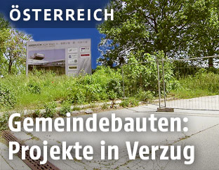 Bäume auf dem Gelände der früheren AUA-Zentrale