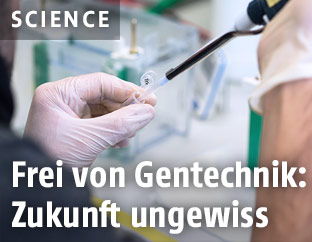 Arbeit im Labor