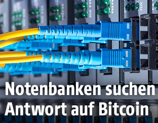 Netzwerkkabel