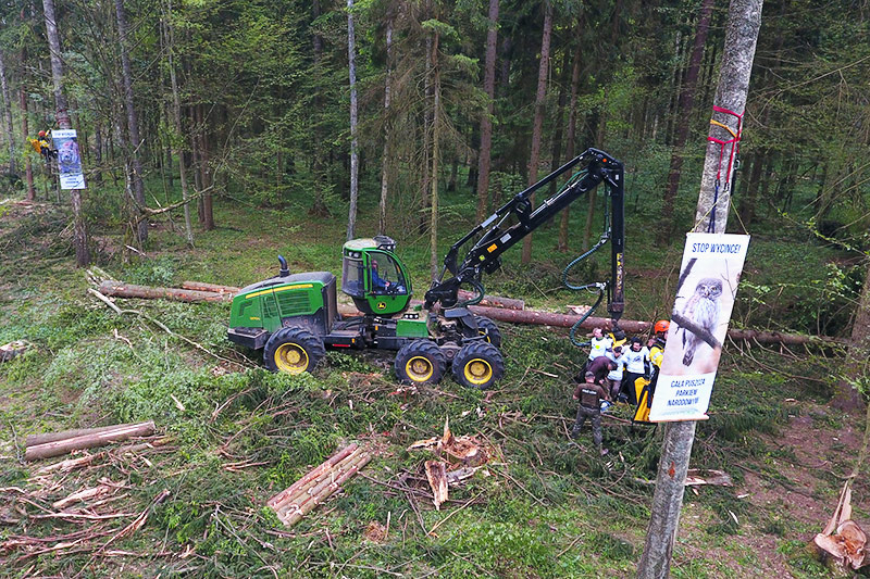© Greenpeace/Jakub Smolen Greenpeace-Aktivisten im Wald