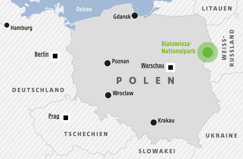 © Map Resources/ORF.at Karte zeigt den Bialowieza-Nationalpark in Polen