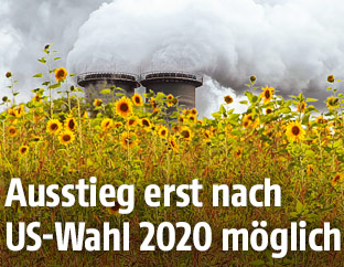 Rauchende Schornsteine hinter einem Sonnenblumenfeld