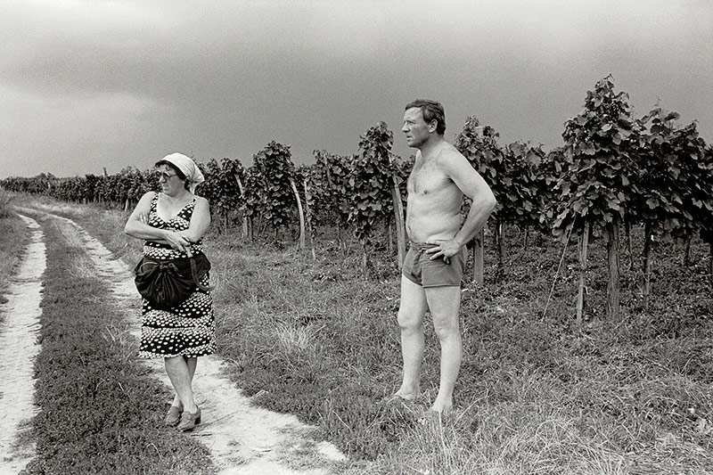© Albertina Wien Seiichi Furuya, Rattersdorf