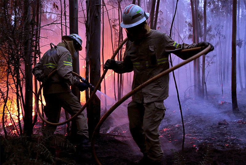 Feuerwehrleute