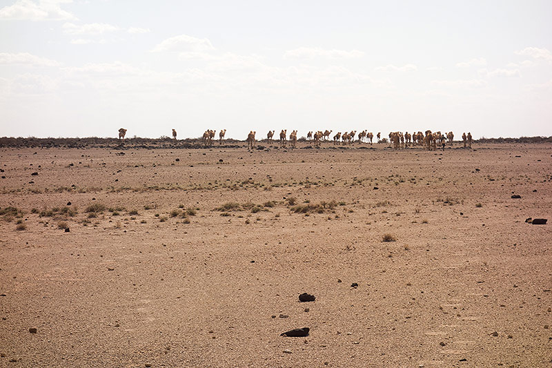 © ORF.at/Saskia Etschmaier Kenia