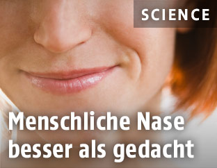 Menschliche Nase