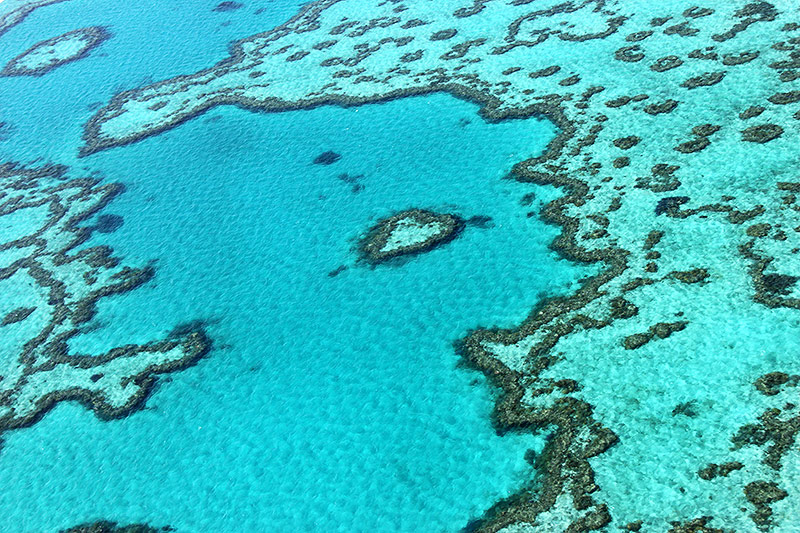  	Luftaufnahme eines Teils des Great Barrier Reefs
