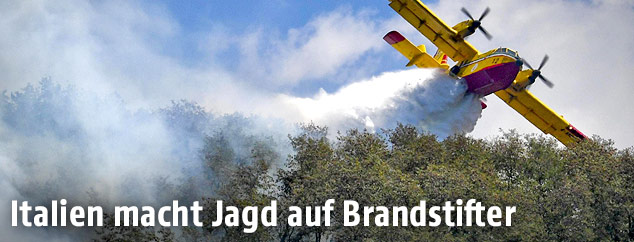 Löschflugzeug im Einsatz