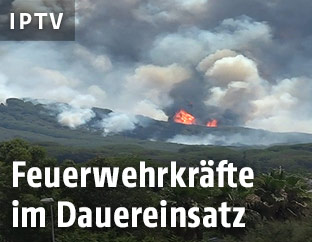 Waldbrand