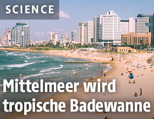 Mittelmmeerküste in Israel