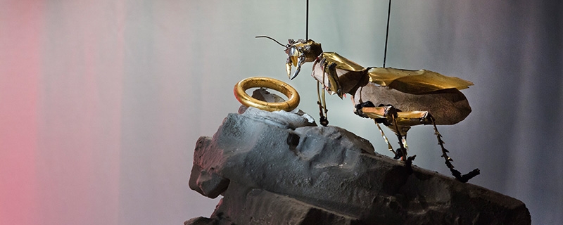 BF 2017 Wagner Insekten
