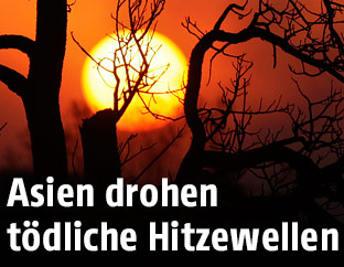 Gleißende Abendsonne