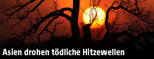 Glei&szlig;ende Abendsonne