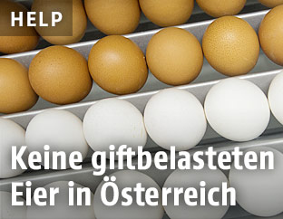 weiße und braune Eier