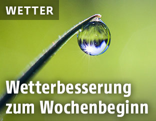 Sonnenbeschienener Tropfen auf einem Grashalm