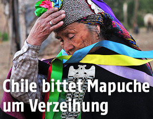 Mapuche-Heilerin