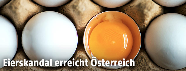 Eier in einem Eierbecher