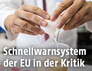 Mitarbeiter eines Labors untersucht Eier