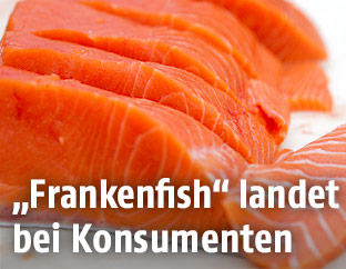 Lachsfilets