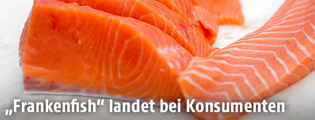 Lachsfilets
