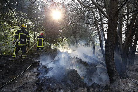© APA/AFP/Pascal Pochard-Casabianca Feuerwehrmänner bekämpfen einen Waldbrand auf Korsika