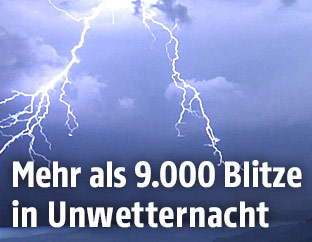 Blitz