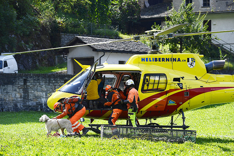 Rettungsteam mit Suchhunden
