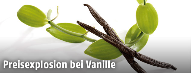 Vanilleschoten