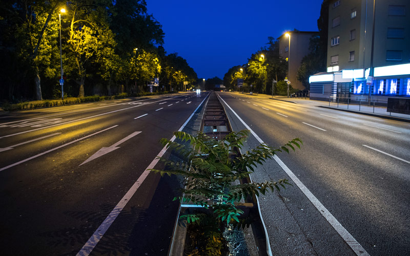 © APA/AP/Andreas Arnold Leere Straßen in Frankfurt