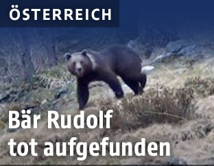 Bär Rudolf in Kärnten