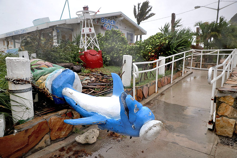 © APA/AFP/Getty Images/Chip Somodevilla Umgestürzte Delfinfigur