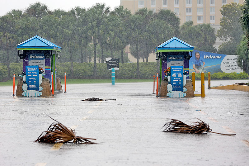 © APA/AP/John Raoux Gesperrter Eingang zum Sea World
