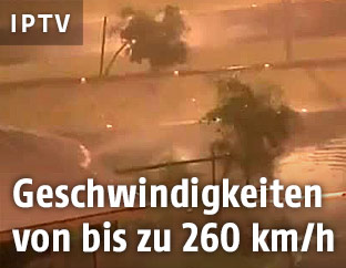 Bäume biegen sich im Sturm