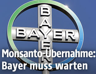 Logo des Pharmakonzerns Bayer