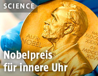 Nobelpreis