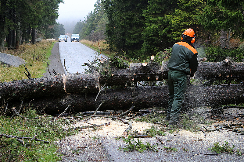 Ein Arbeiter in Schierken sägt einen Baum in Stücke, der die Straße blockiert