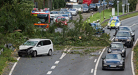 © APA/dpa/Silas Stein Ein Baum ist bei Hannover auf die Straße gestürzt