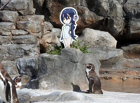 © APA/AFP/Handout Der Pinguin "Grape" steht bei einer Anime-Kartonfigur