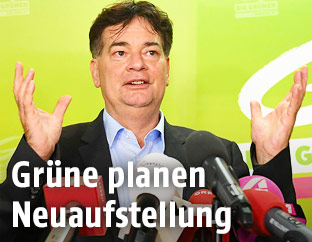 Werner Kogler