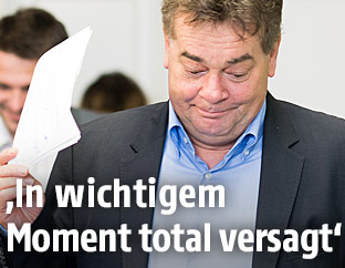 Werner Kogler (Grüne)