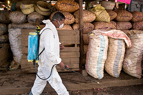 Mann in Schutzanzug sprüht Desinfektionsmittel auf einem Markt in Madagaskar aus