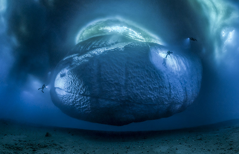 © Laurent Ballesta/National History Museum Unter Wasser fotografierter Boden eines Eisbergs