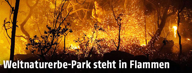 Waldbrand in Naturpark