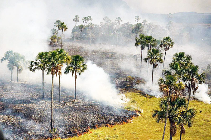 © APA/AFP/Chico Mendes Institute for Biodiversity Großbrand in Nationalpark