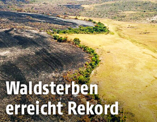 Zerstörungen im Naturschutzpark